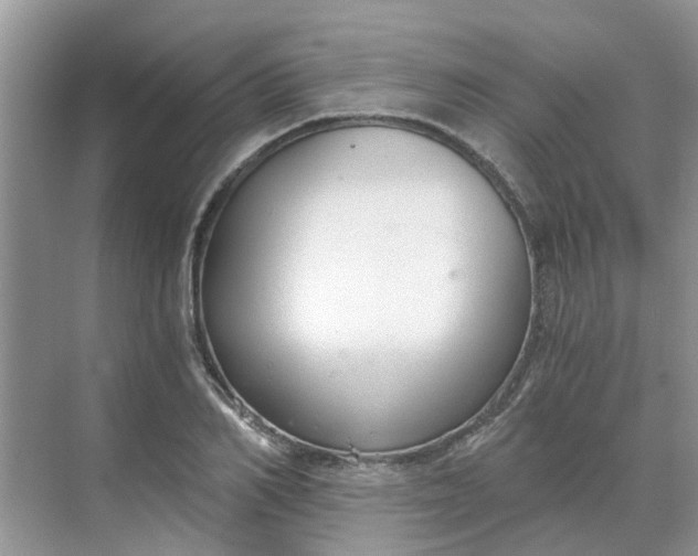 X0000068730982200605121513