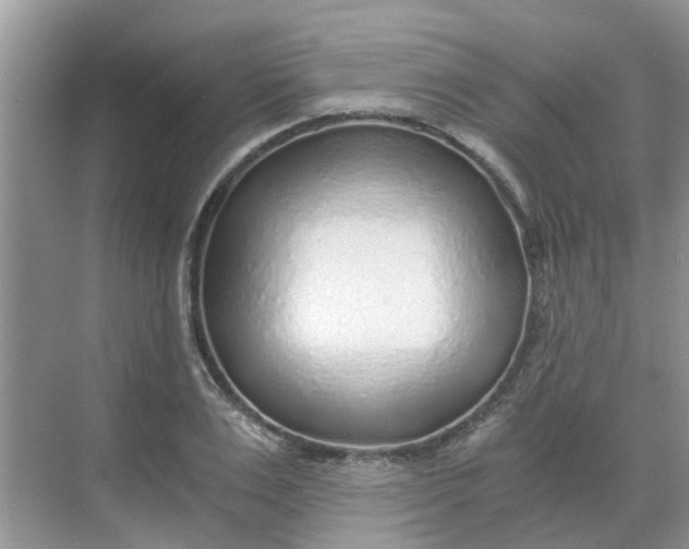 X0000068730983200605121513