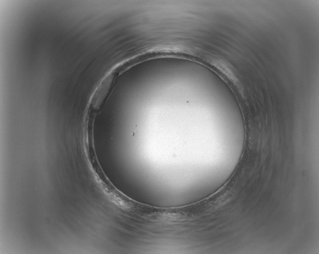 X0000068730984200605121513