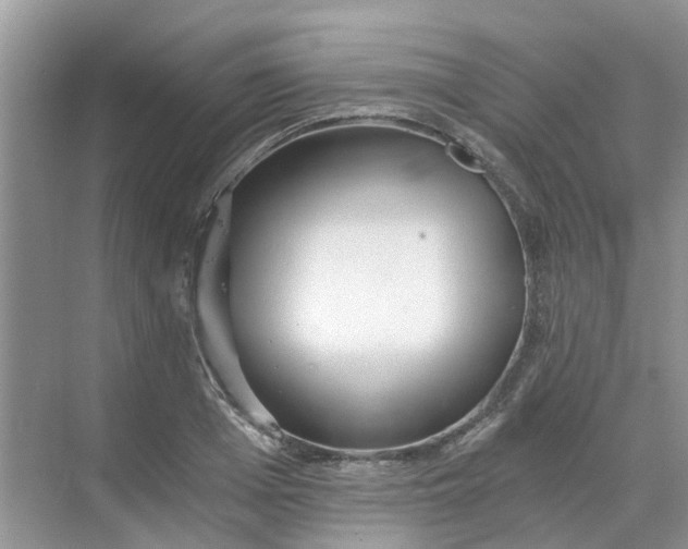 X0000068730985200605121513