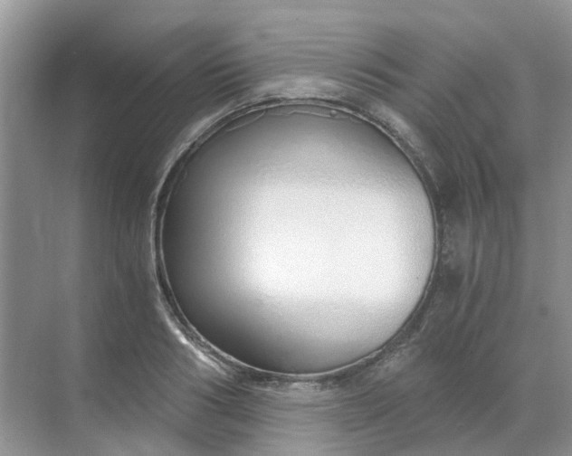 X0000068730986200605121513