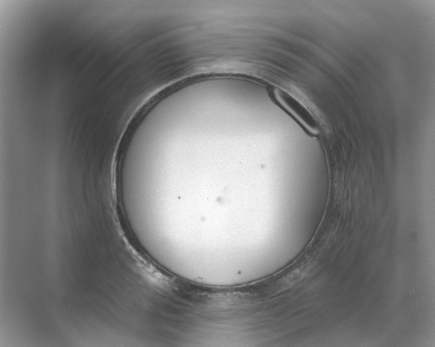 X0000068730988200605121513