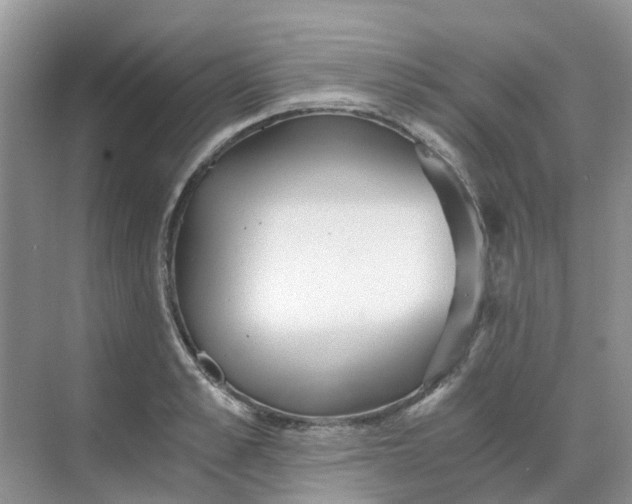 X0000068730989200605121513