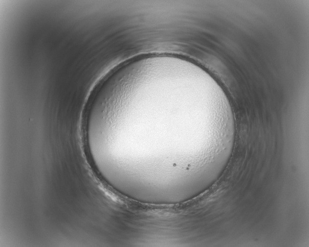 X0000068730990200605121513