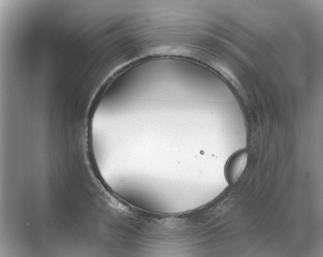 X0000068730992200605121513