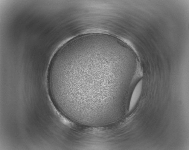 X0000068730995200605121513