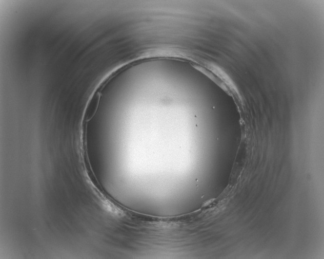 X0000068730996200605121513