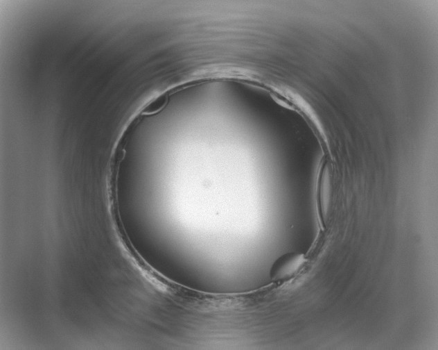 X0000068730997200605121513