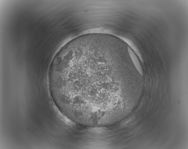 X0000068730998200605121513