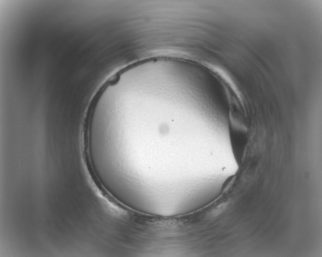 X0000068730999200605121513