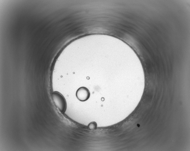 X0000068731000200605121513