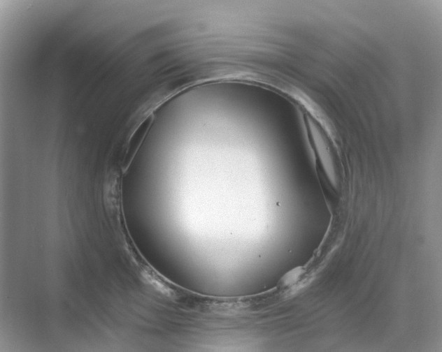 X0000068731001200605121513