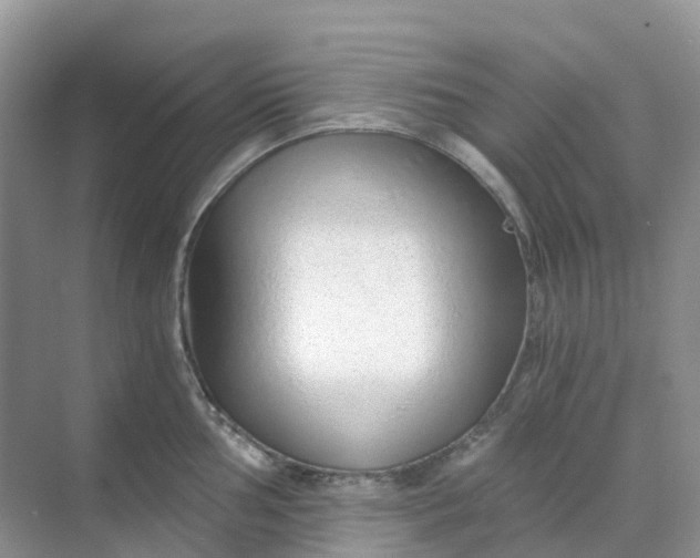 X0000068731002200605121513