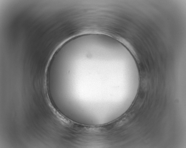 X0000068731004200605121513