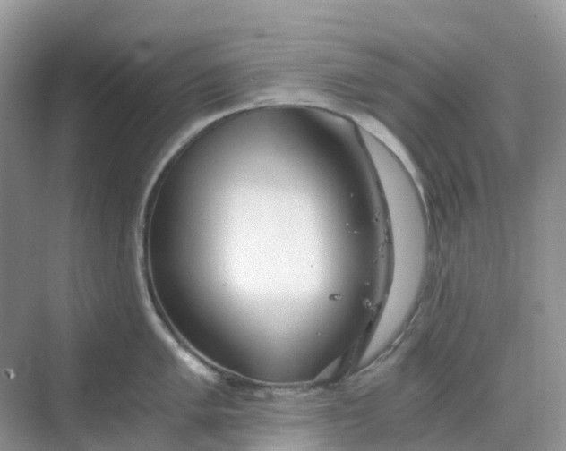 X0000068731005200605121513