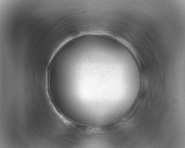 X0000068731006200605121513