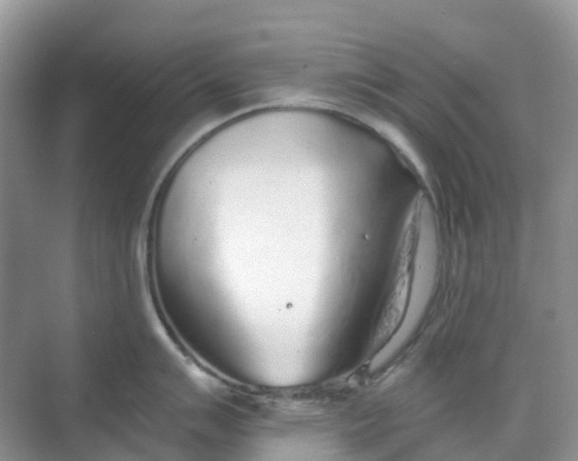 X0000068731007200605121513