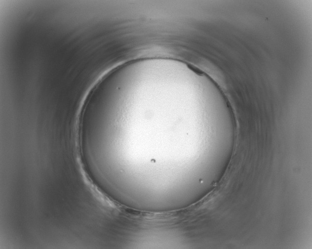 X0000068731008200605121513