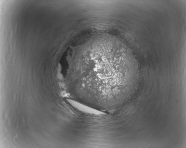 X0000068731009200605121512