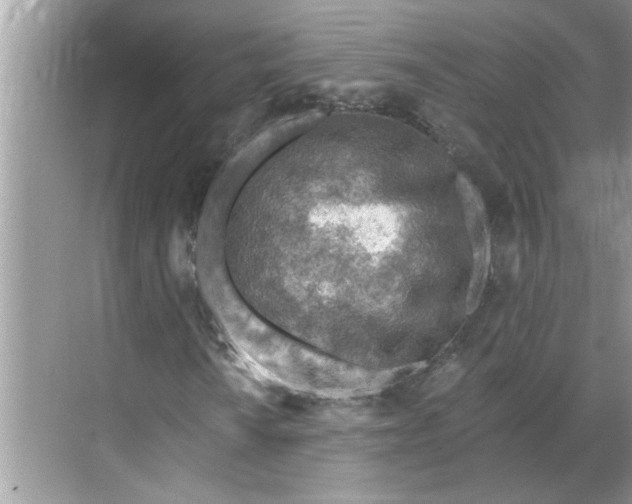 X0000068731010200605121512