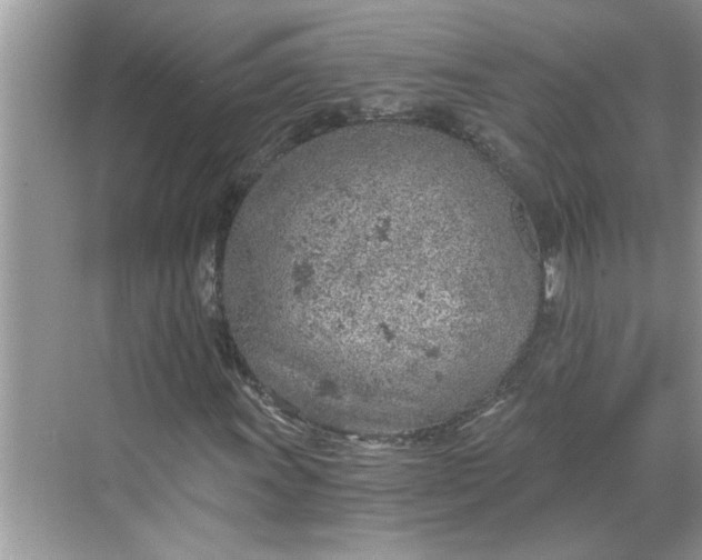 X0000068731011200605121512