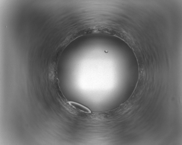 X0000068731012200605121512