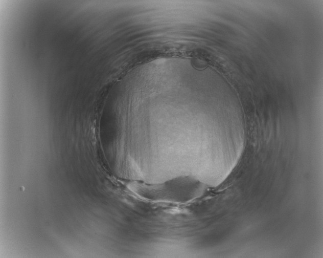 X0000068731013200605121512