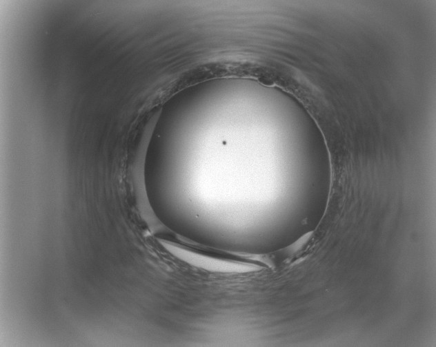 X0000068731014200605121512