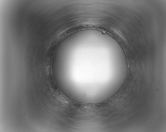 X0000068731015200605121512