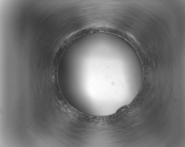 X0000068731016200605121512