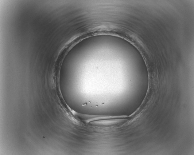 X0000068731018200605121512