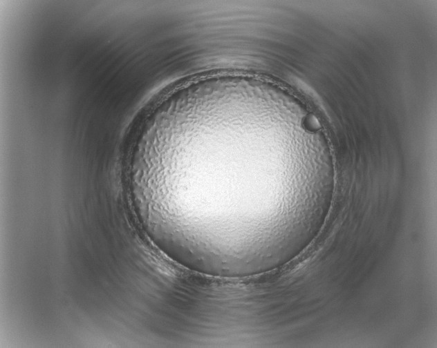 X0000068731019200605121512