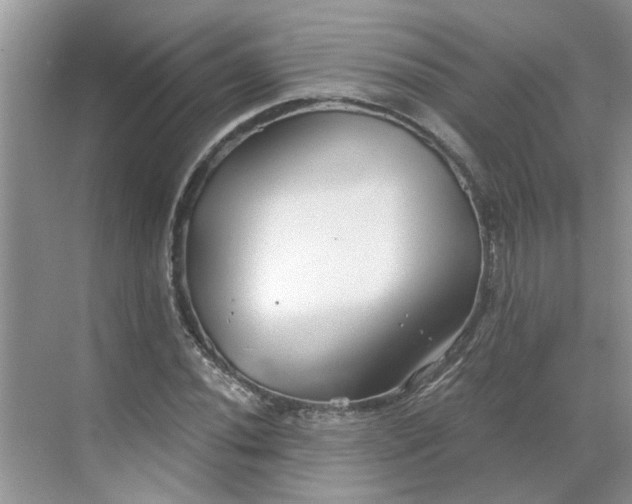 X0000068731020200605121512