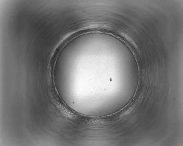 X0000068731021200605121512