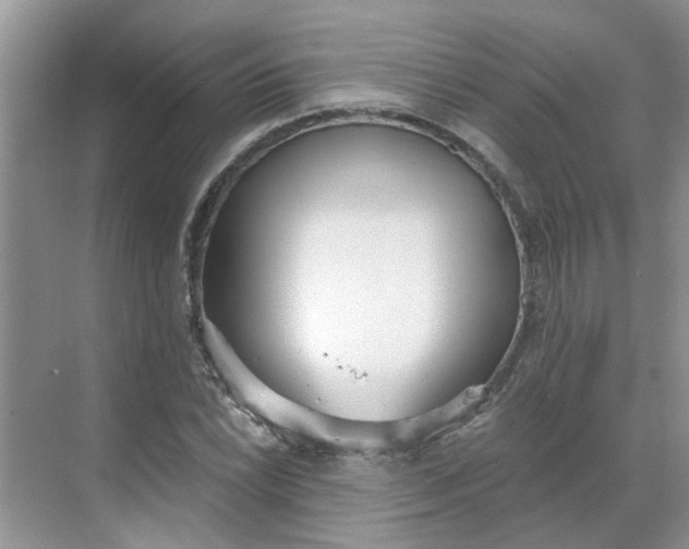 X0000068731022200605121512