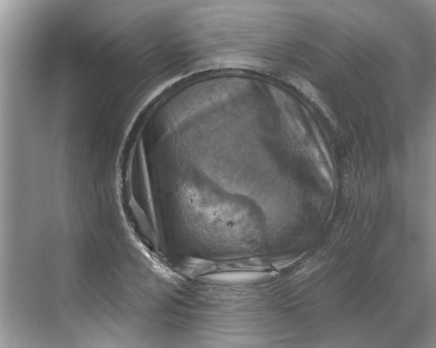 X0000068731024200605121512