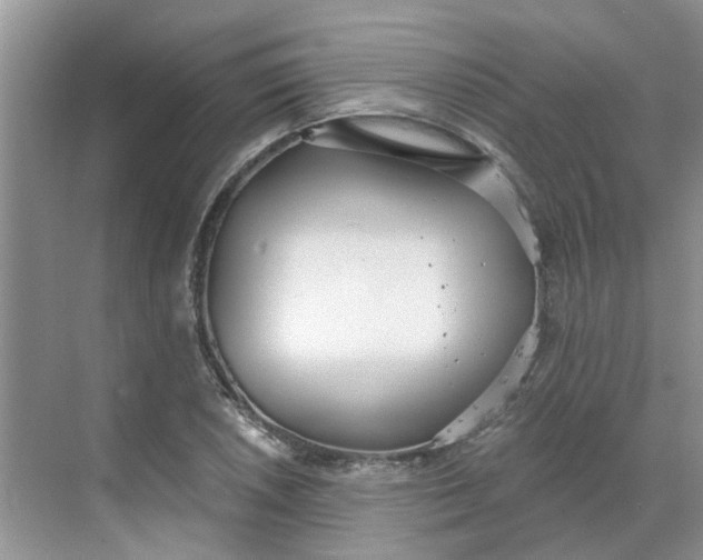 X0000068731026200605121512