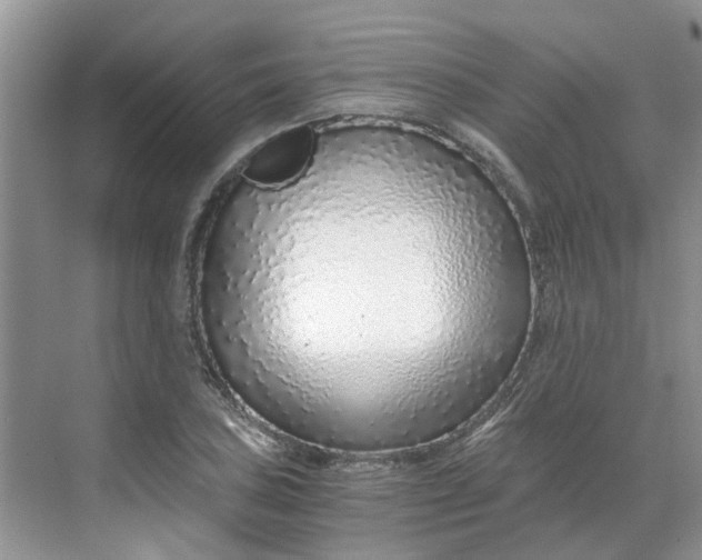 X0000068731027200605121512