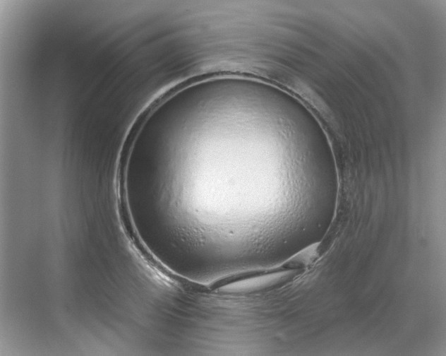 X0000068731028200605121512