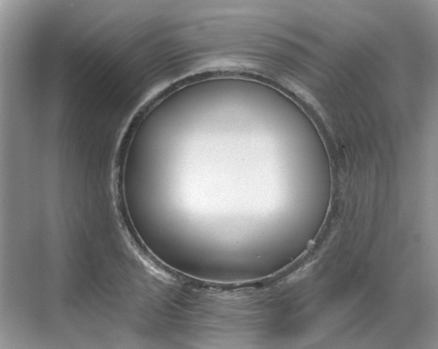 X0000068731029200605121512