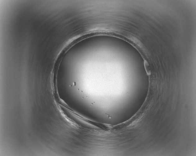 X0000068731030200605121512