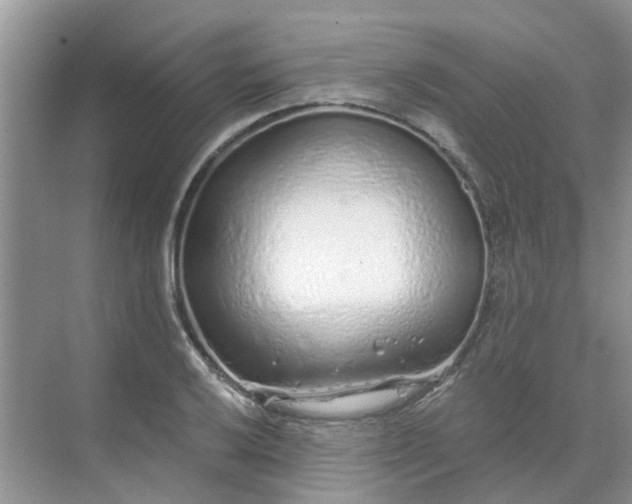 X0000068731032200605121513