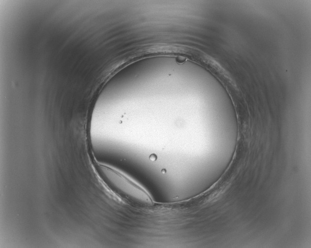 X0000068731033200605121513