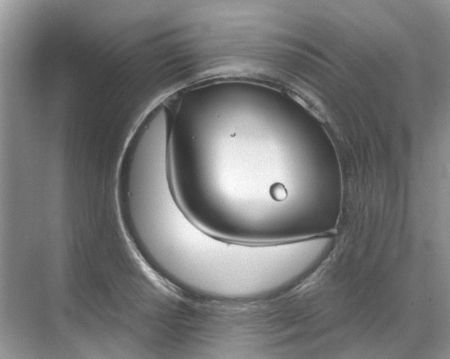 X0000068731034200605121513