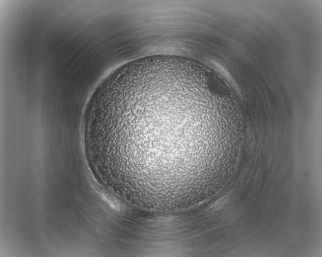 X0000068731035200605121513