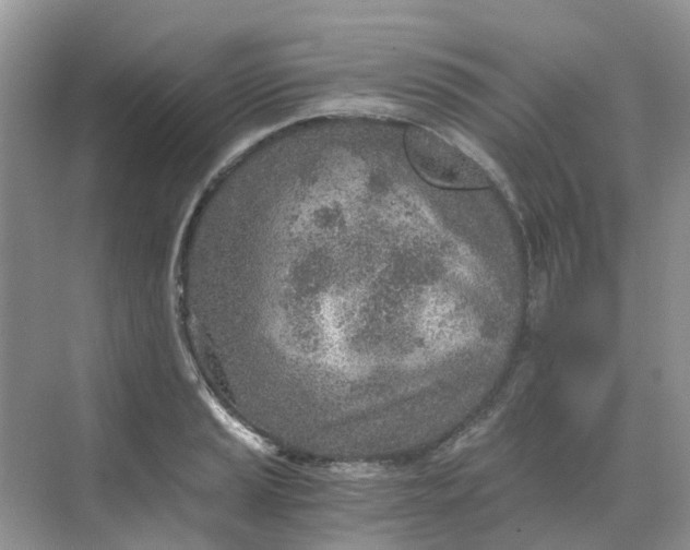 X0000068731037200605121513