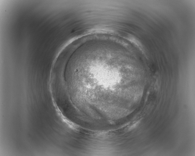 X0000068731038200605121513