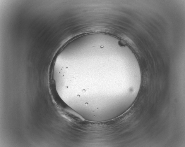 X0000068731039200605121513