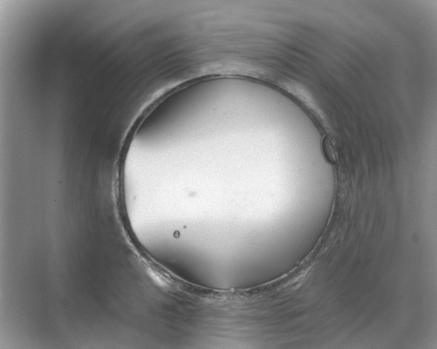 X0000068731040200605121513