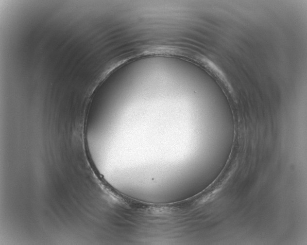 X0000068731041200605121513